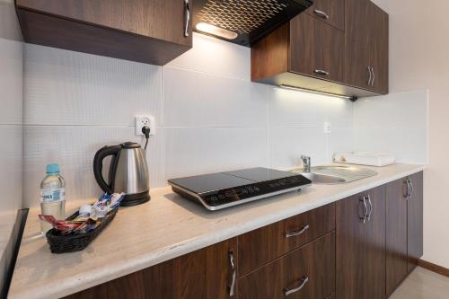 a kitchen with a counter with a sink and a blender at Apartamenty w Klaudynie in Klaudyn