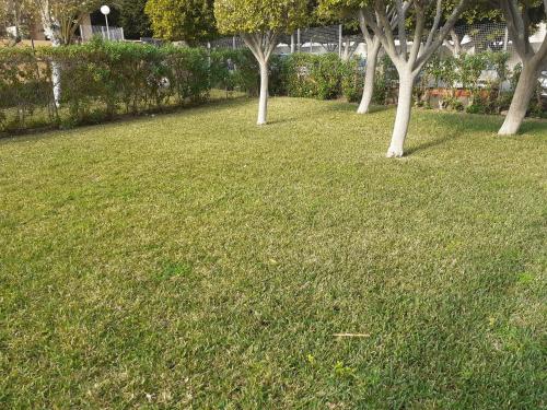 Apartment Bahia De Almeria, Almería, Spain - Booking.com