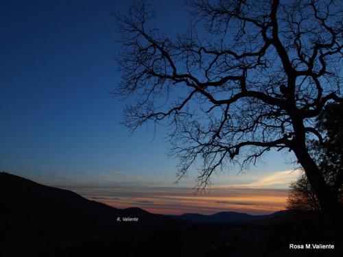 a silhouette of a tree with the sunset in the background at Casa Rural Las Jañonas CC-CR-00219 in Gata