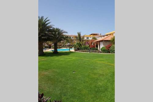 a lawn with a pool in a yard at 4 Sterne Appartment Sal Kap Verden in Prainha