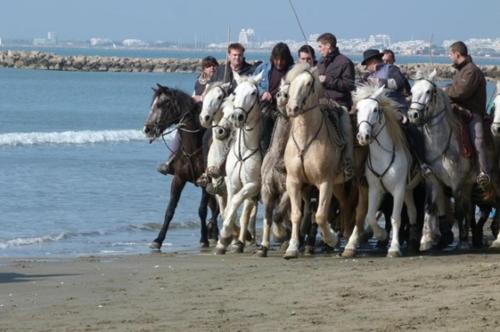 a group of people riding horses on the beach at studio in Le Grau-du-Roi
