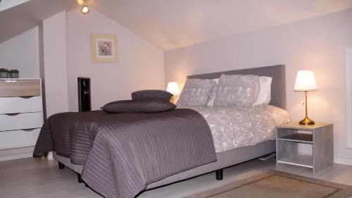 a bedroom with a bed and a dresser at Guesthouse Biolleke in Boutersem