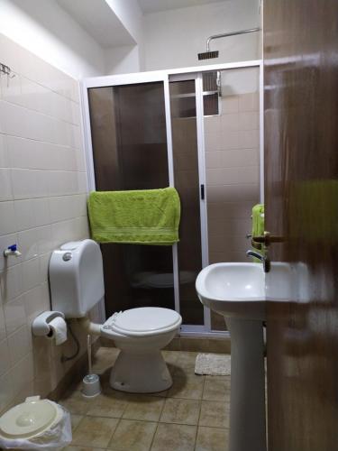 een badkamer met een toilet en een wastafel bij Departamento centrico en Posadas, garage opcional D4 in Posadas