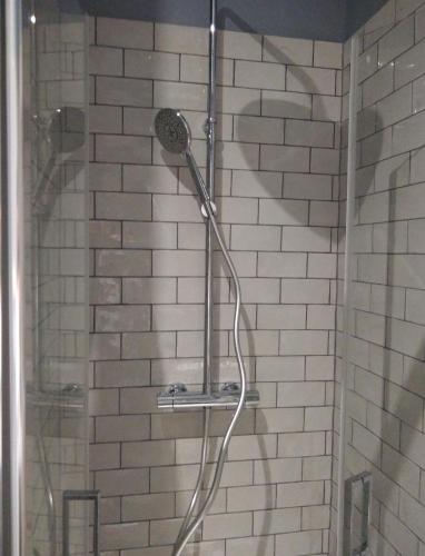 une douche avec pommeau de douche dans une salle de bain dans l'établissement Appartement rénové 2 chambres centre historique, à Bordeaux