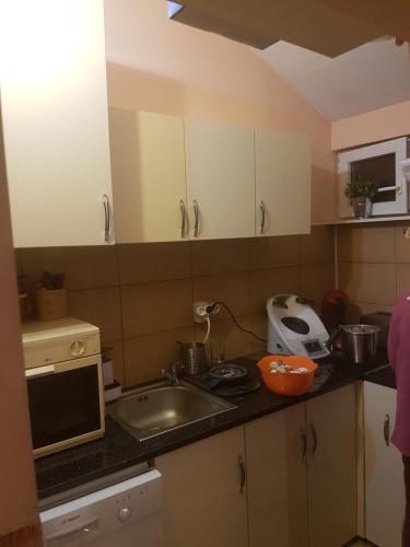 a small kitchen with a sink and a microwave at Casa ERNST in Moieciu de Jos