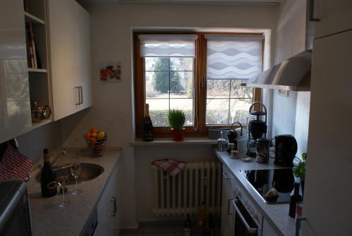 cocina con fregadero y ventana en Apartment Ape Maja, en Bad Wiessee