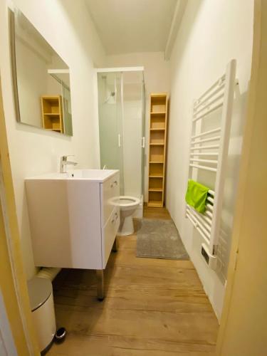 a bathroom with a white sink and a toilet at Résidence Les Pâquerettes N3 in Le Mont-Dore