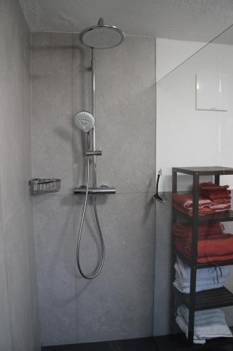 La salle de bains est pourvue d'une douche avec un pommeau de douche. dans l'établissement Landhaus Klara, à Neustift im Stubaital
