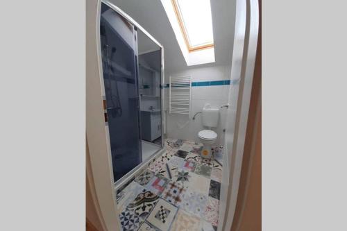a bathroom with a shower and a toilet in it at House Zemina in Lumbarda