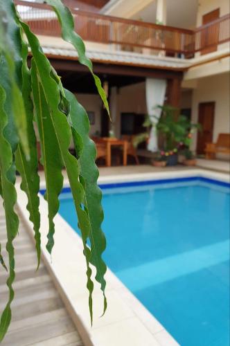 Piscina a Amalia Apartments o a prop