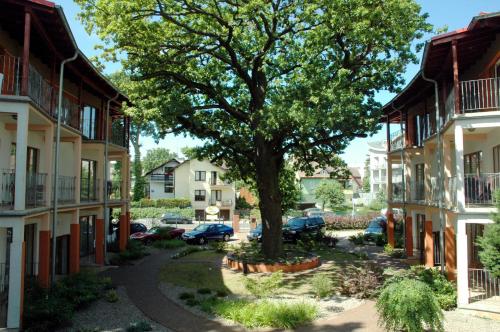 a tree in a courtyard between two buildings at Rezydencja 5 Dębów in Międzyzdroje