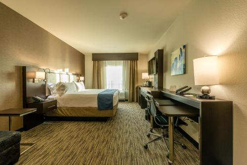 Afbeelding uit fotogalerij van Holiday Inn Austin Airport, an IHG Hotel in Austin