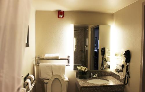 a bathroom with a toilet and a sink and a phone at Holiday Inn Hotel Atlanta-Northlake, a Full Service Hotel in Atlanta