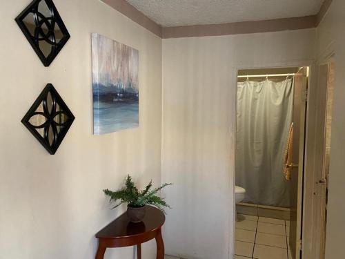 a bathroom with a shower and a table with a plant at Departamento Bahia in Ensenada