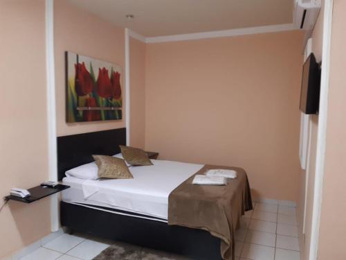 1 dormitorio pequeño con 1 cama y TV en HOTEL CARMO PALACE, en Carmo do Paranaíba
