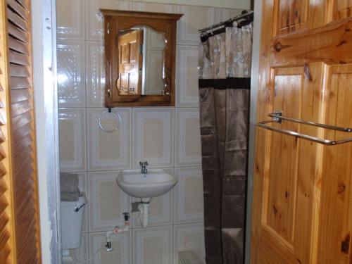 ein Bad mit einem Waschbecken und einem Spiegel in der Unterkunft Memories Cottage and Apartments in Buccoo