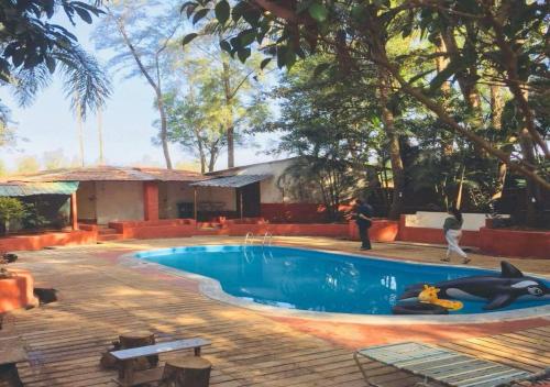 a swimming pool with a dolphin in the middle at The Jungle Resort Amba in Chandoli
