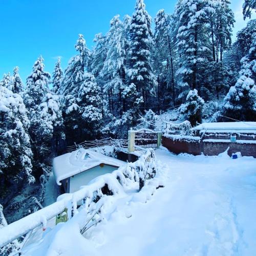 a yard covered in snow with trees in the background at SHIVAYA since 1953 in Mukteswar