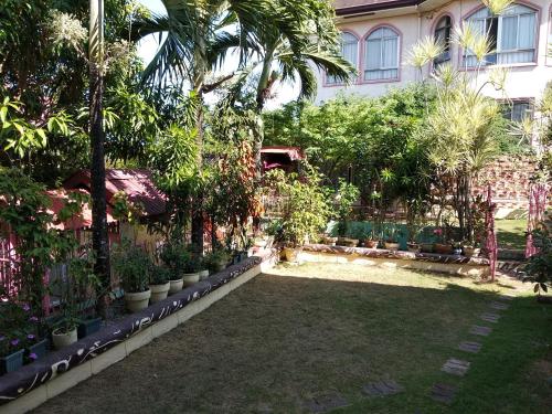 アラミノスにあるHundred Islands Guest Houseの家の前に植物が植えられたヤシの木の庭園