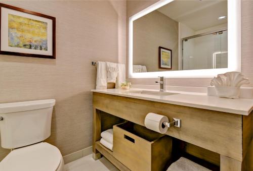 W łazience znajduje się toaleta oraz umywalka z lustrem. w obiekcie Holiday Inn - Nampa, an IHG Hotel w mieście Nampa