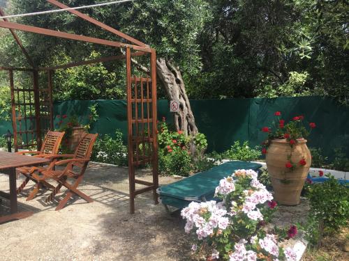 Taman di luar Villa Stephanie