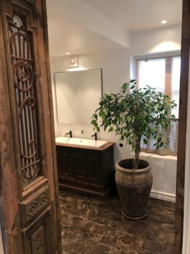 ein Badezimmer mit einem Waschbecken und einer Topfpflanze in der Unterkunft Big and beautiful Villa in Nyhamnsläge in Nyhamnsläge
