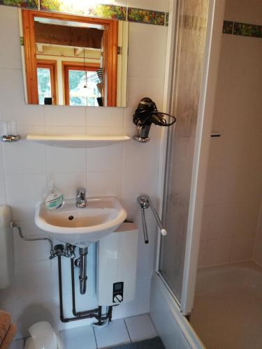 a bathroom with a sink and a shower at Haus Timmerloher Forst in Schneverdingen