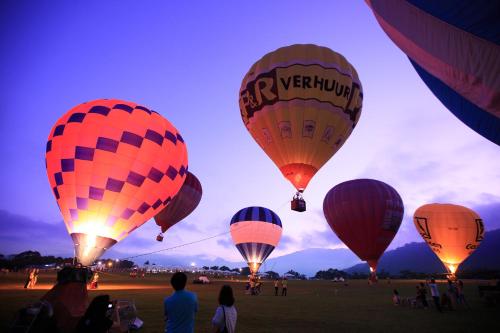 a group of hot air balloons in a field at Cozy Green Guesthouse in Taitung City