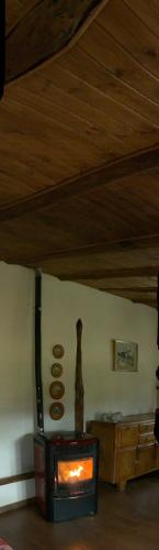 Gavi/Alice Open space – Photos 2