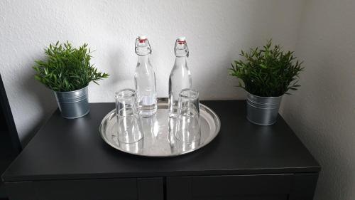 dos botellas y vasos en una mesa con plantas en Goethe 3 - Mitten im Zentrum von Schwerin, en Schwerin