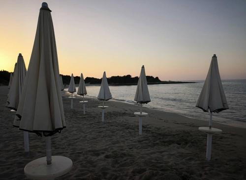 Paesaggio naturale nelle vicinanze della casa vacanze
