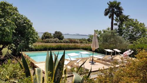 a swimming pool in a garden with chairs and an umbrella at Santa Igia - Country House in Cagliari