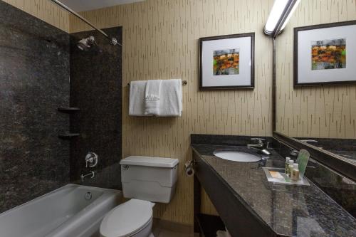 a bathroom with a sink and a toilet and a tub at Holiday Inn Chicago North-Evanston, an IHG Hotel in Evanston