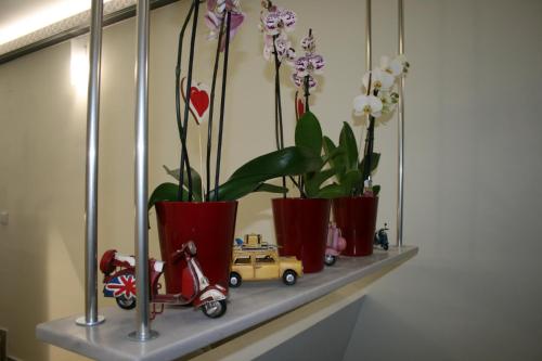a shelf with potted plants and toy cars on it at Costa Point Chios in Chios