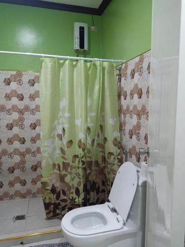 a bathroom with a toilet and a shower curtain at Stella'z guesthouse in Siquijor