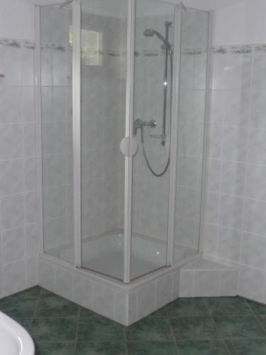 a shower with a glass door in a bathroom at Ferienwohnung Wilsdruff - Kaufbach in Wilsdruff