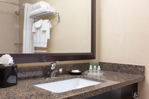 Et badeværelse på Holiday Inn Chicago - Elk Grove, an IHG Hotel