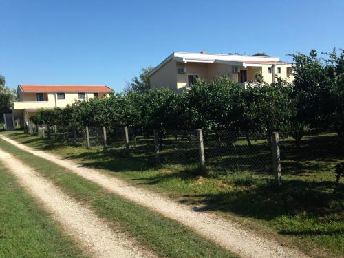 Gallery image of Niki Apartments in Ulcinj