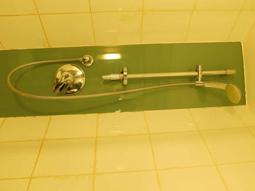 伊凱賈的住宿－宜必思拉各斯機場酒店，带浴缸的浴室和绿色的墙壁