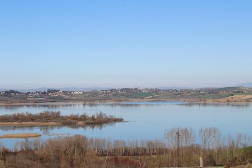 a view of a large lake with trees and houses at Villa Porsenna in Chiusi