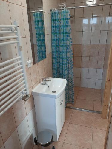 y baño con lavabo y ducha. en ROOMS FOR RENT, en Panevėžys