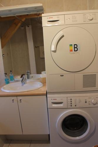 a washer and dryer in a bathroom with a sink at La Ferme de Sous-Lachat in Samoëns