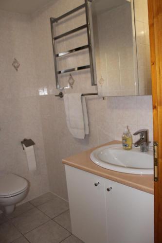 a bathroom with a sink and a toilet and a mirror at La Ferme de Sous-Lachat in Samoëns