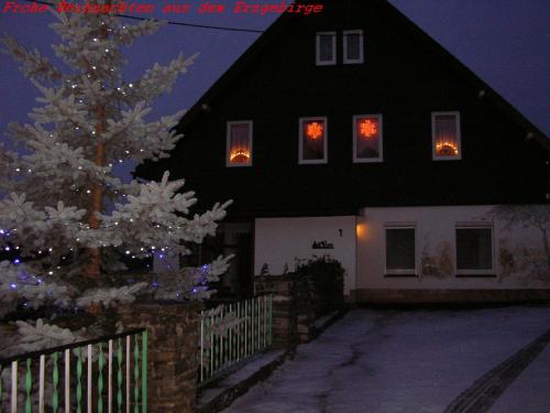 a house with a christmas tree and lights in the windows at Ferienwohnung Neubert in Breitenbrunn