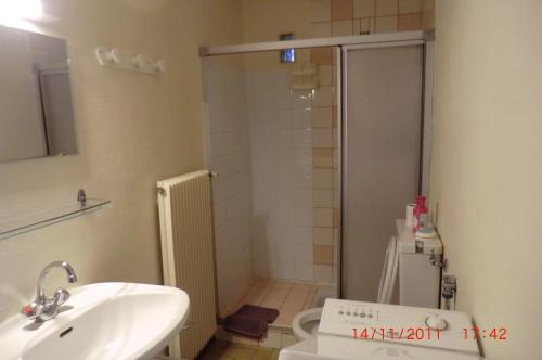 a bathroom with a shower and a sink and a toilet at Les Passereaux 2 in Saint-Gervais-les-Bains