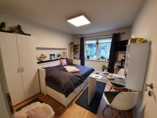 a small room with a bed and a desk at Zentrales Zimmer auf dem Land in Großsolt