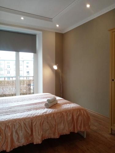a bedroom with a bed and a large window at Vienibas 11 in Daugavpils