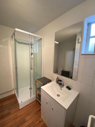 a bathroom with a white sink and a shower at Le gîte du cavalier au cœur de la Forêt/jacuzzi in Dole