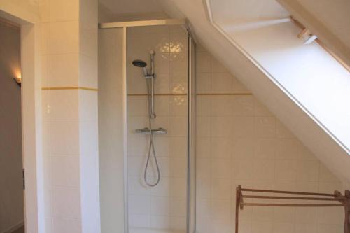 a shower in a bathroom under a staircase at Appartement Abbestederweg Callantsoog in Callantsoog