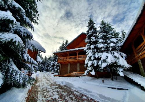 a log cabin in the snow with a tree at Gostynniy Dvir in Forest Коттеджи in Migovo